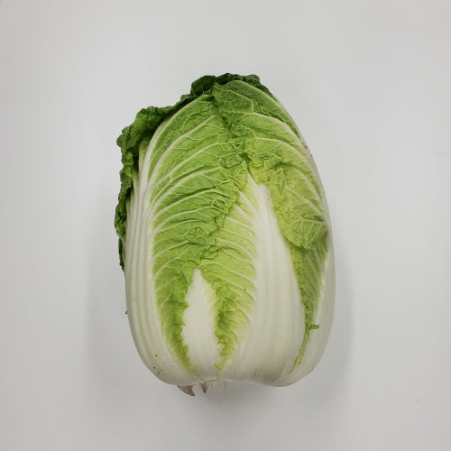 Cabbage - Napa (Each)