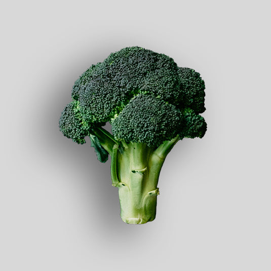 Broccoli Large (Each)