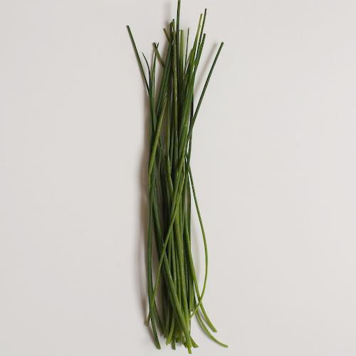 Chives (Case of 12)