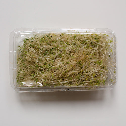 Sprouts - Alfalfa 120g (Each)