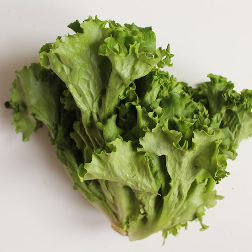 Lettuce - Green Leaf (Each)