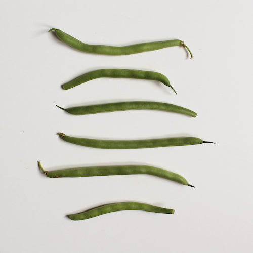 green beans - 1 pound bag