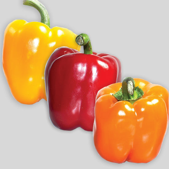 Peppers - Bell (3 or 4 Pack)