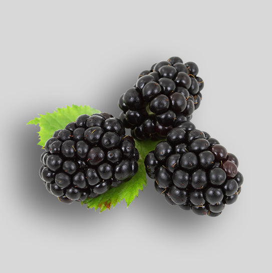 Berries - Blackberries (1/2 Pint)