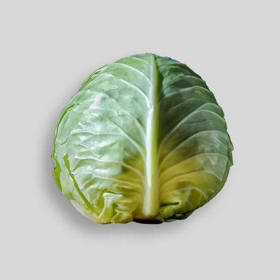Cabbage - Green (Each)
