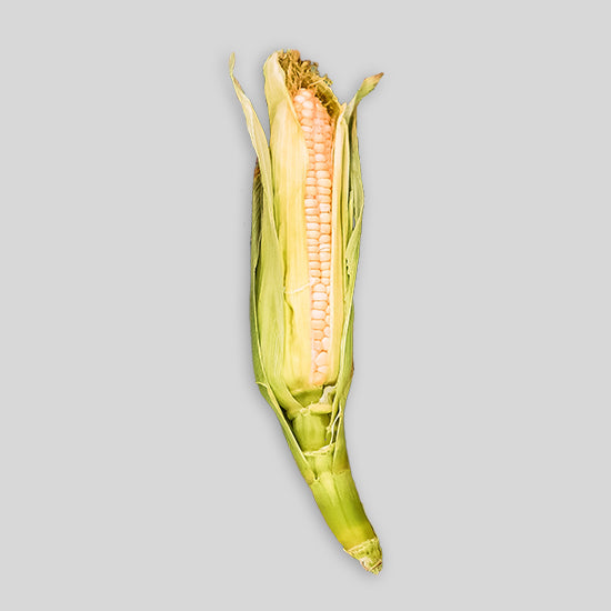 Corn (Case)