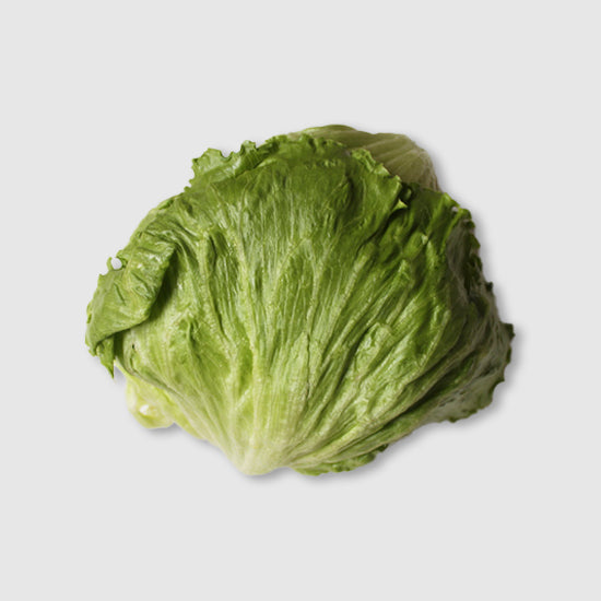 Lettuce - Iceberg (Each)