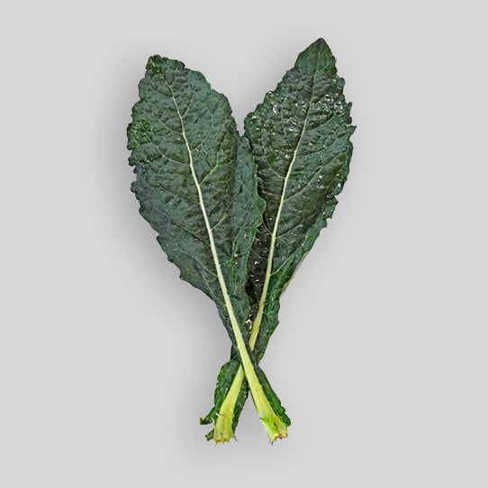 Kale - Green (Bunch)