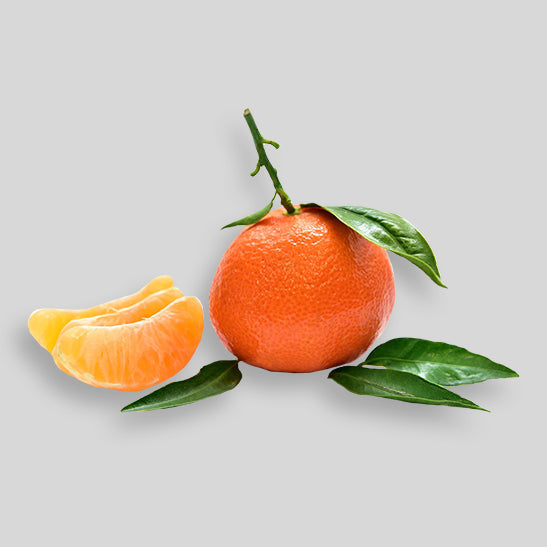 Tangerine (Case) 10 kg
