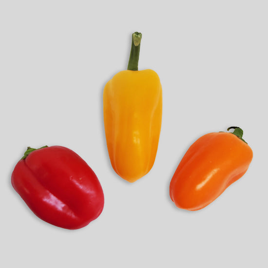 Peppers - Mini Bell (case of 12)