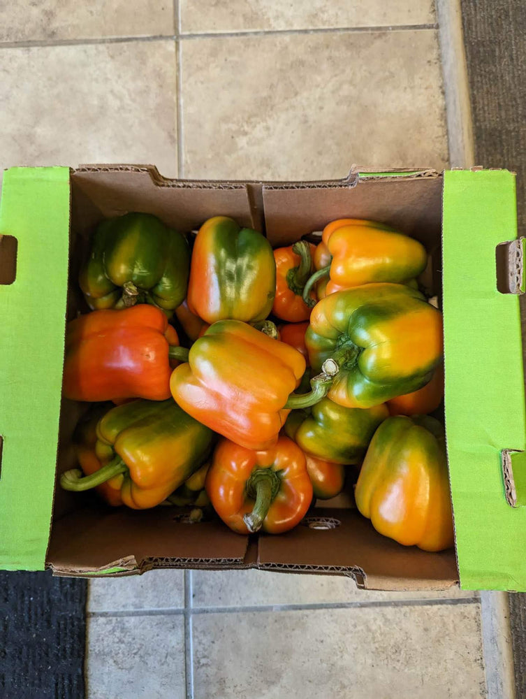 Multi Coloured Peppers Case 5kg