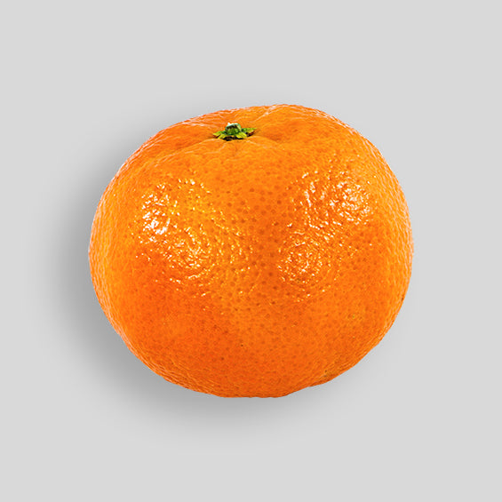 Oranges - (Each) X-Large