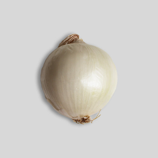 Onions - White (Each)